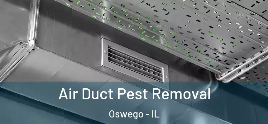  Air Duct Pest Removal Oswego - IL