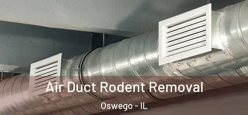Air Duct Rodent Removal Oswego - IL