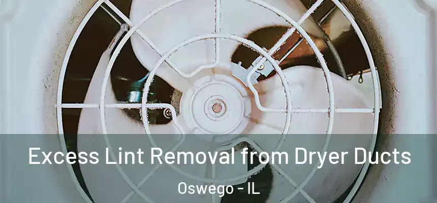 Excess Lint Removal from Dryer Ducts Oswego - IL