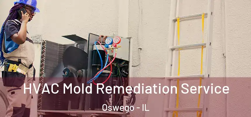 HVAC Mold Remediation Service Oswego - IL