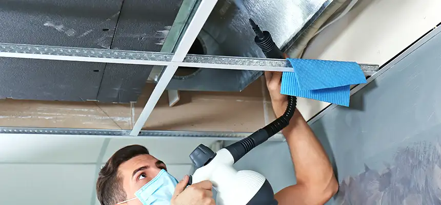 Our Air Duct Rodent Removal Services in Oswego, IL