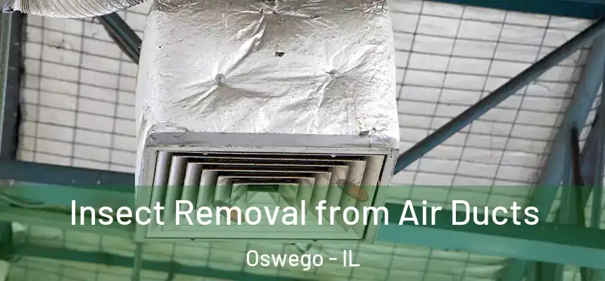  Insect Removal from Air Ducts Oswego - IL