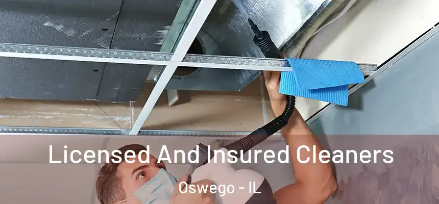  Licensed And Insured Cleaners Oswego - IL