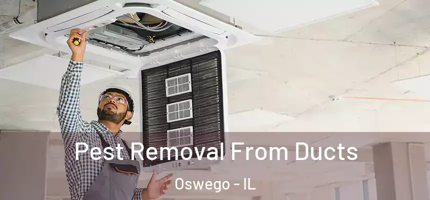 Pest Removal From Ducts Oswego - IL