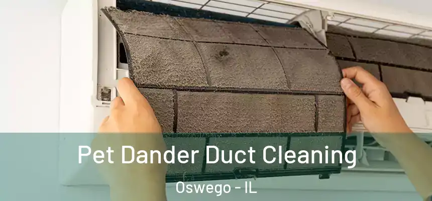  Pet Dander Duct Cleaning Oswego - IL