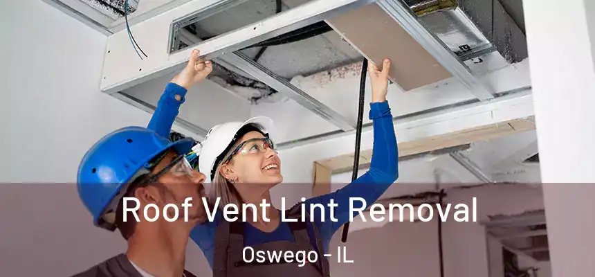  Roof Vent Lint Removal Oswego - IL