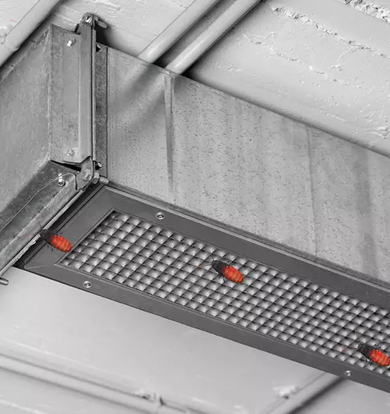 Affordable Insect Removal from Air Ducts in Oswego, IL