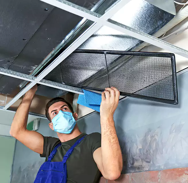 Why Homeowners Businesses Trust Us in Oswego, IL