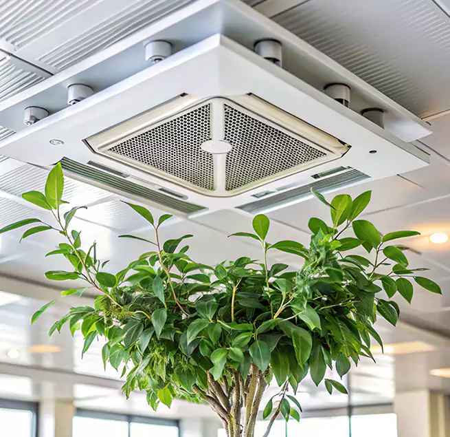 Why Homeowners & Businesses Trust Us in Oswego, IL?