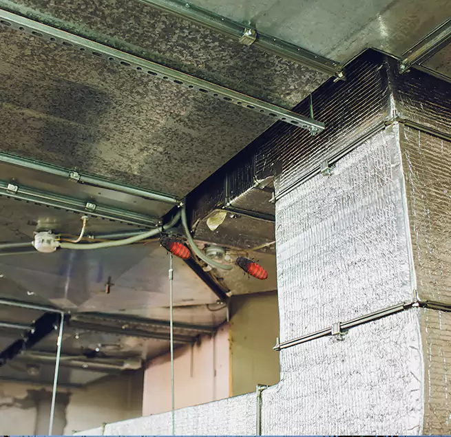 Why Homeowners & Businesses Trust Us Oswego, IL?